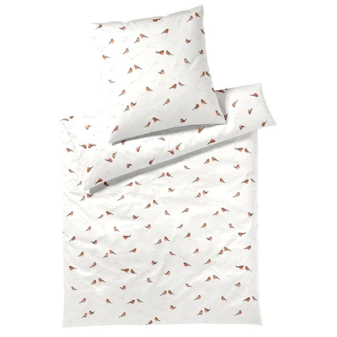 Hovedbilde ROTKEHLCHEN White